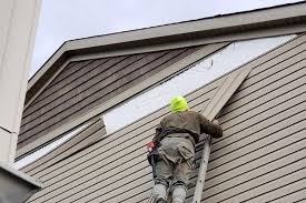 Best Siding for Commercial Buildings  in Port Richey, FL